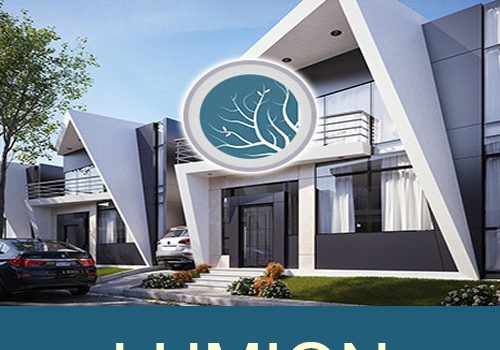 Lumion